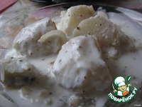 ���� � �������� ��������� ����� "���-�����" �����������