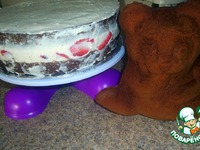 ���� "�����" �����������