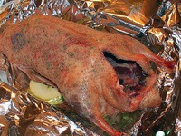 ����, ������������� �������� �����������