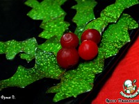 ���������� ���� "������� � ���������" �����������