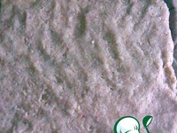 ������ ����� �����������