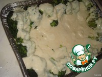 ������� � �������� �����������