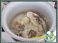 �����-������  ������ �����������