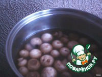 ���������� 	������������ �����������