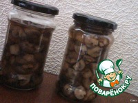 ���������� 	������������ �����������