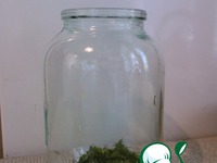 �������� ������� �����������