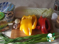 ����� "�������-����������" �����������