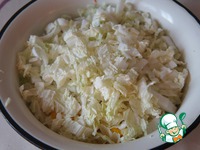 ����� "�������-����������" �����������