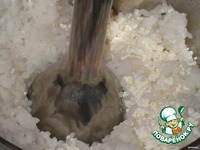 ����� ��������-������� �����������