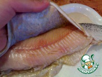 ������������� ���� "�����������" �����������