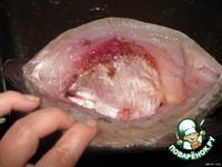 �����e���� ��� "�������" �����������