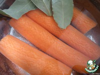 ��������� � �������� ����������� �����������