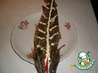 ������������� �������� �����������