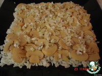 ����� "�����������" �����������