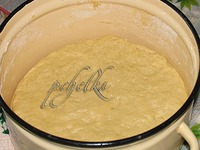 ������� � �������� �����������