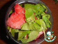 �������-������ �������� �����������