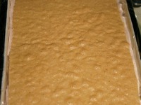 ����-��������� �����������