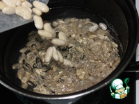 ������ � �������-����������� ����� � ����������� �����������