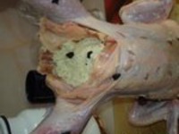 �����-������� �����������