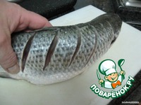 ������ � ������� �����������