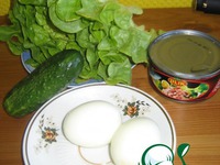 �������� ����� �����������