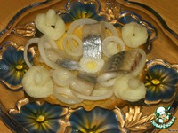 ���������� � �������� �����������