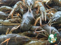 ��� �� ����� �����������