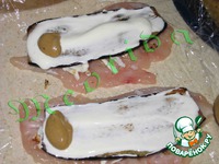 �������� ������-������������ �����������