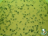 ��������� � �������� � ����e��� ����� �����������