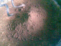 ������� "�������� �����" �� ����� ����� �����������