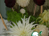 ������� ������ � ����������-1 �����������