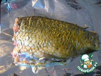 ���� � ��������� �����������