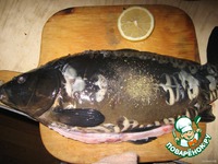 ���� �� ���� �����������