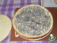 ����� "������� �������" �����������