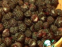 ������� � �������� �����������