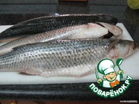 ������ � ������� �����������