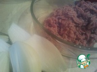 ������ ������� � ������� �������� �����������