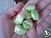 ������ �� ���� � ������� � ��������� �������� �����������