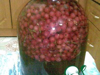 ������ �� ������� ��������� � ������ �����������