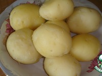 ������������ ������ �����������