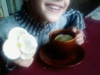 ������� "�������" �����������