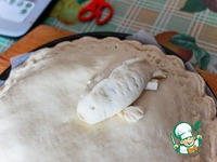 ������� �������� �� ������������ �����������