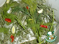 ������ ����������� �����������