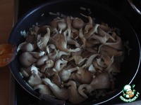 ������� � ���������� � ������ ����� �����������