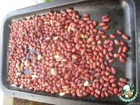 ������� "���������� �����������" �����������