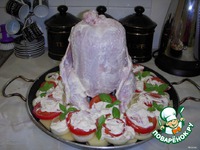 ������ �� ������� �����������