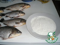 ������ � ������� �����������