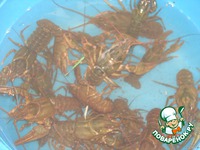 ���� � ���� �����������