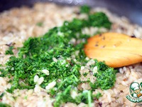 ������� � �������� ���������� � ��������� �����������