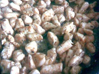 ����� "������� ��������" �����������